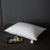 Combo Beradu : 10 Pieces 5 Star Pillow - Image 8