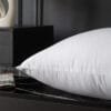 Sultan Pillow 4 Star - Image 4